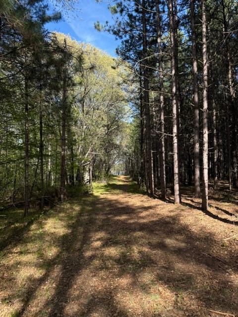 TBD County Road 3, Merrifield MN 56465 - Photo 19 of 37
