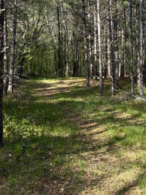 TBD County Road 3, Merrifield MN 56465 - Photo 20 of 37