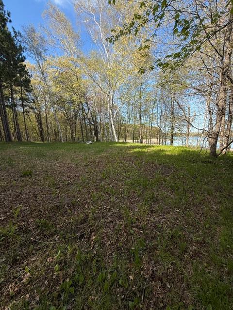 TBD County Road 3, Merrifield MN 56465 - Photo 23 of 37