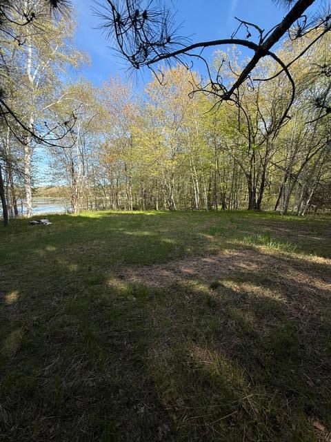 TBD County Road 3, Merrifield MN 56465 - Photo 24 of 37