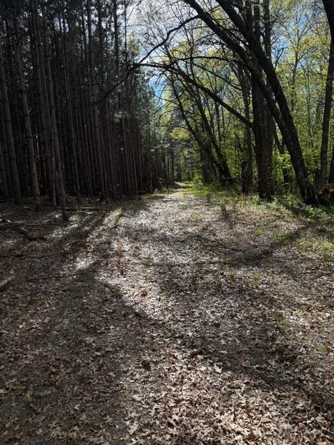 TBD County Road 3, Merrifield MN 56465 - Photo 25 of 37