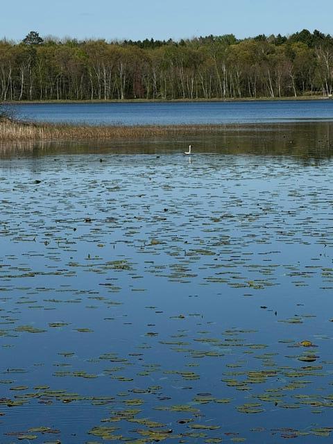 TBD County Road 3, Merrifield MN 56465 - Photo 27 of 37