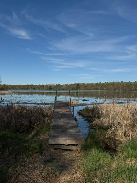 TBD County Road 3, Merrifield MN 56465 - Photo 28 of 37