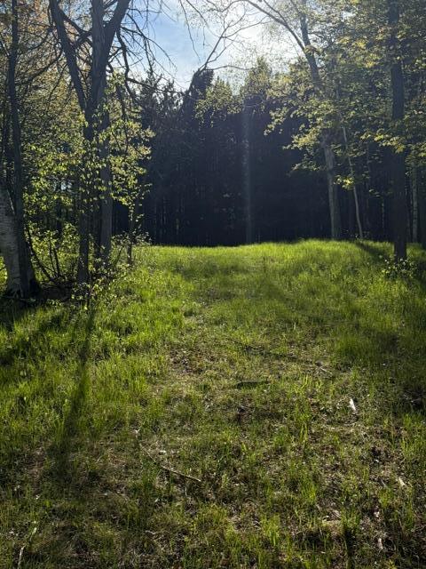 TBD County Road 3, Merrifield MN 56465 - Photo 29 of 37