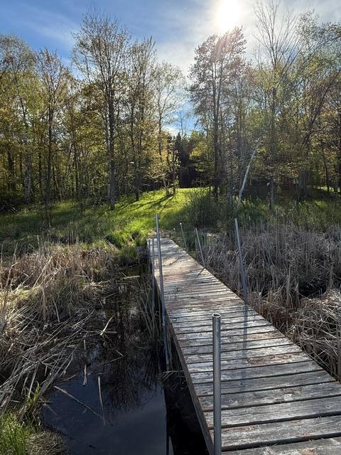 TBD County Road 3, Merrifield MN 56465 - Photo 4 of 37