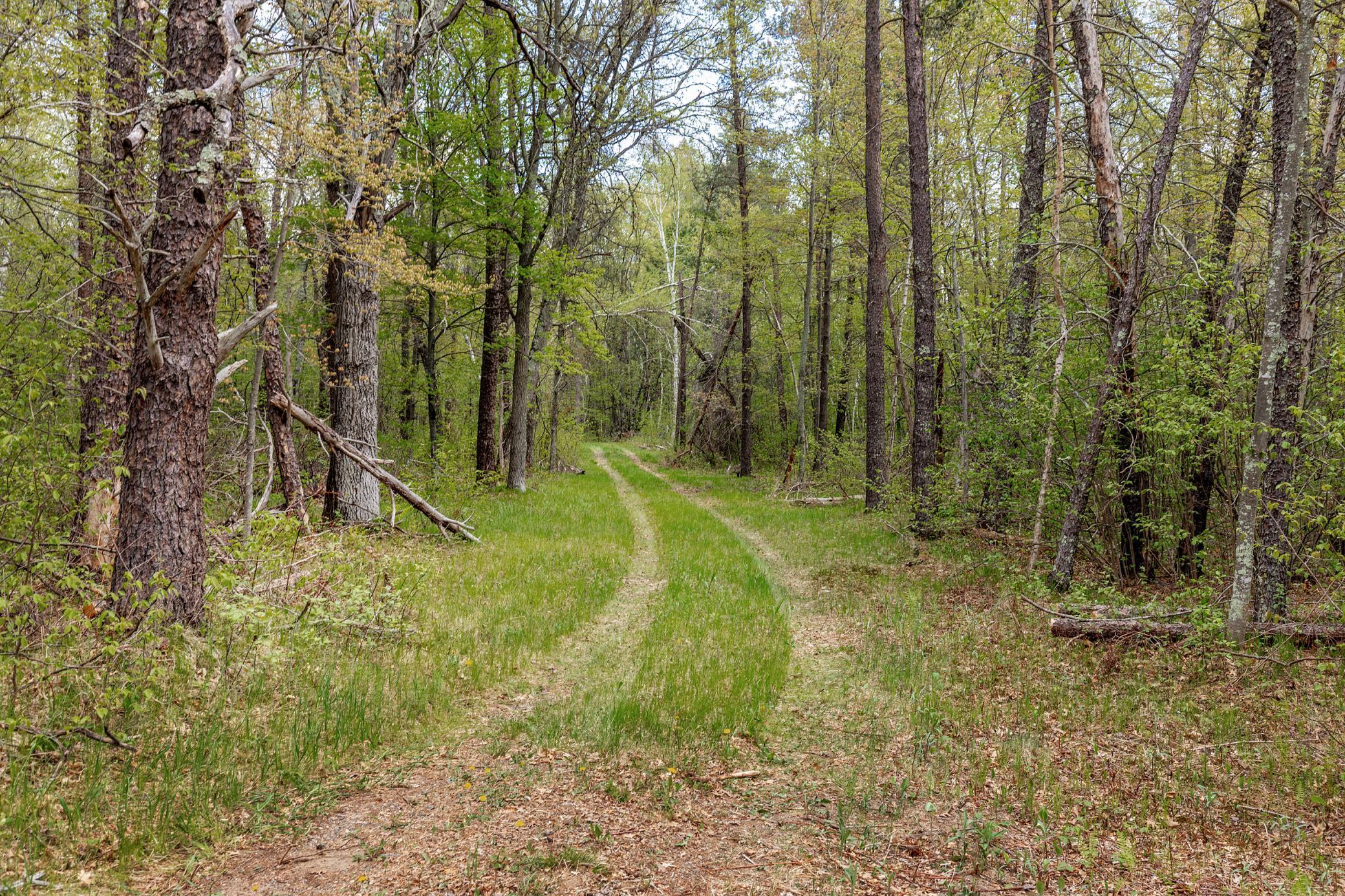 TBD County Road 3, Merrifield MN 56465 - Photo 7 of 37