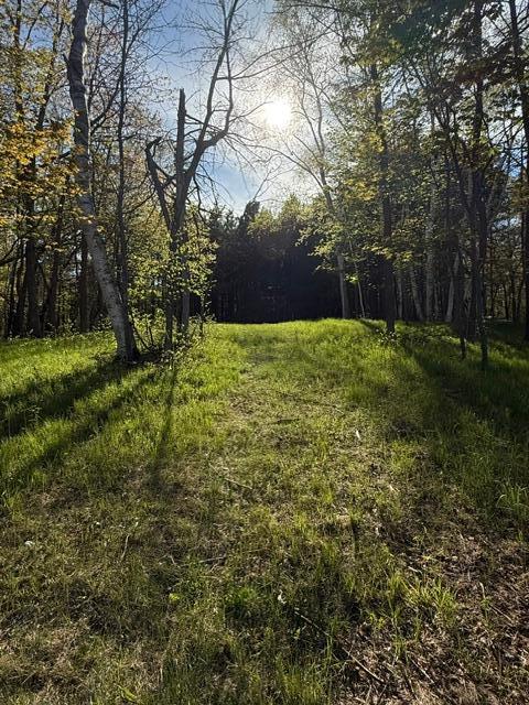 TBD County Road 3, Merrifield MN 56465 - Photo 9 of 37