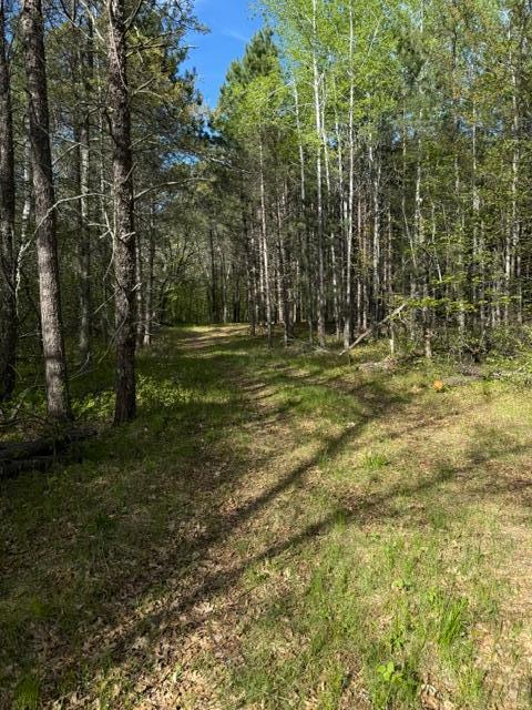 TBD County Road 3, Merrifield MN 56465 - Photo 10 of 37