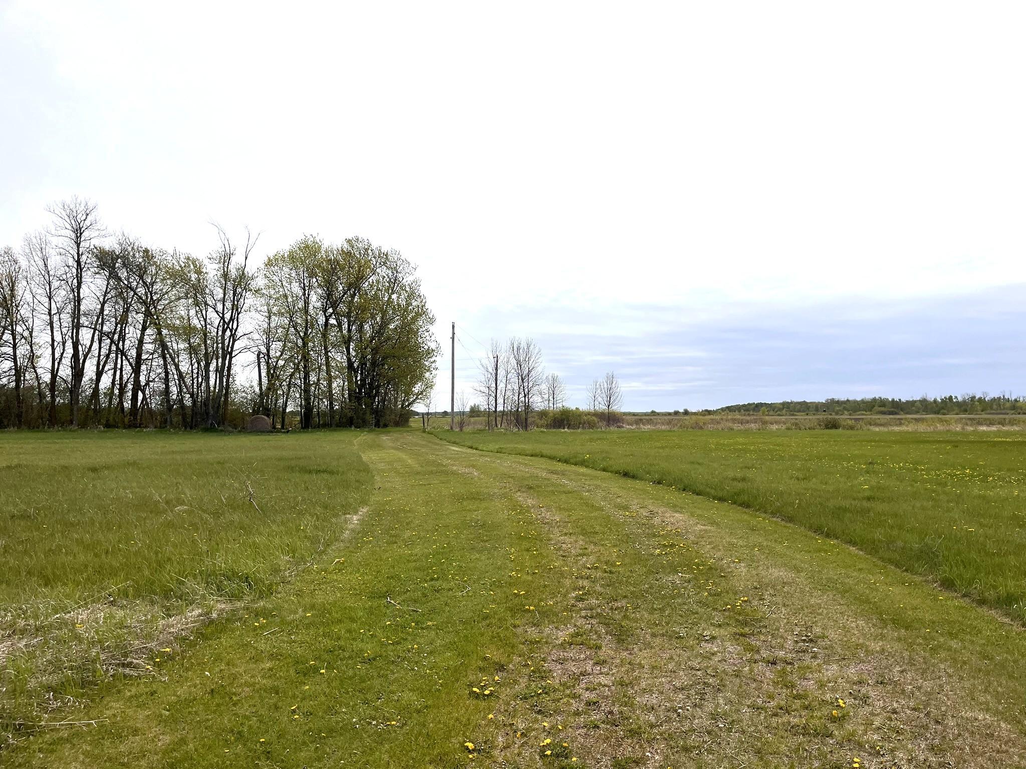land for sale at 38477 390th Avenue in Aitkin, MN (photo 15 of 42)
