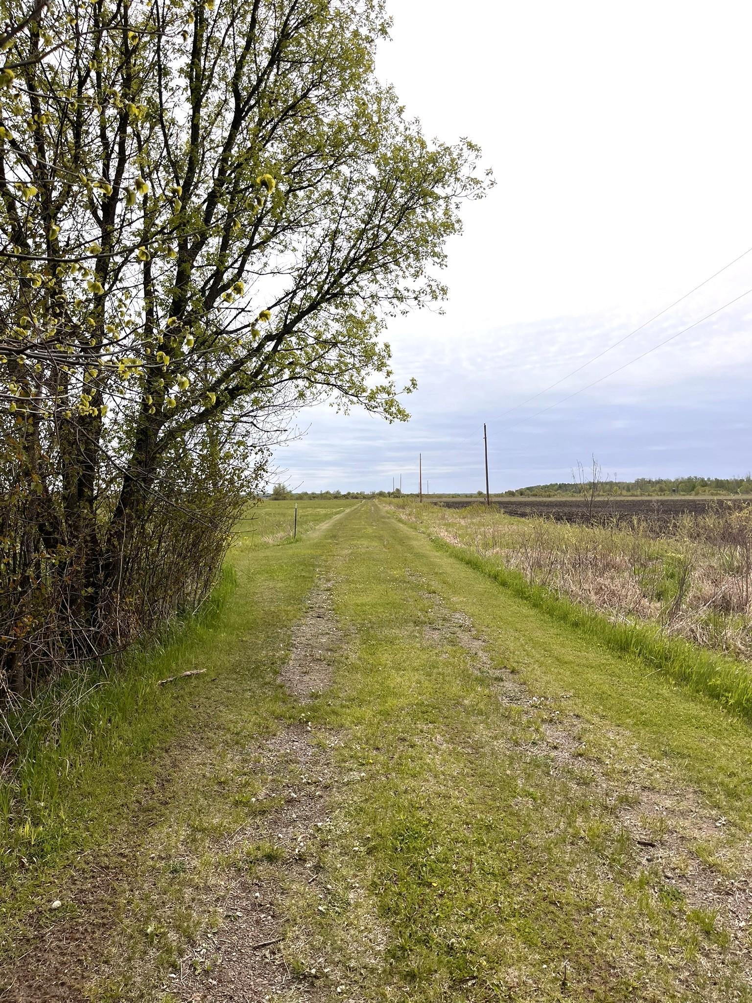 land for sale at 38477 390th Avenue in Aitkin, MN (photo 16 of 42)
