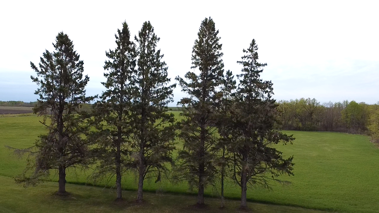 land for sale at 38477 390th Avenue in Aitkin, MN (photo 17 of 42)