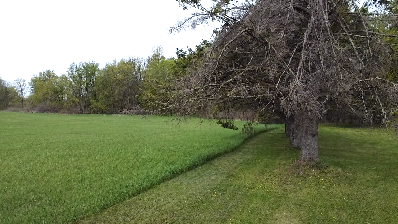 land for sale at 38477 390th Avenue in Aitkin, MN (photo 19 of 42)