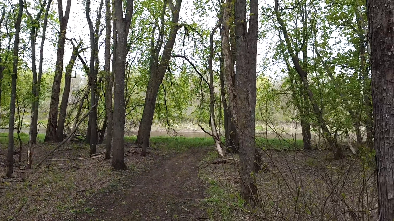 land for sale at 38477 390th Avenue in Aitkin, MN (photo 24 of 42)