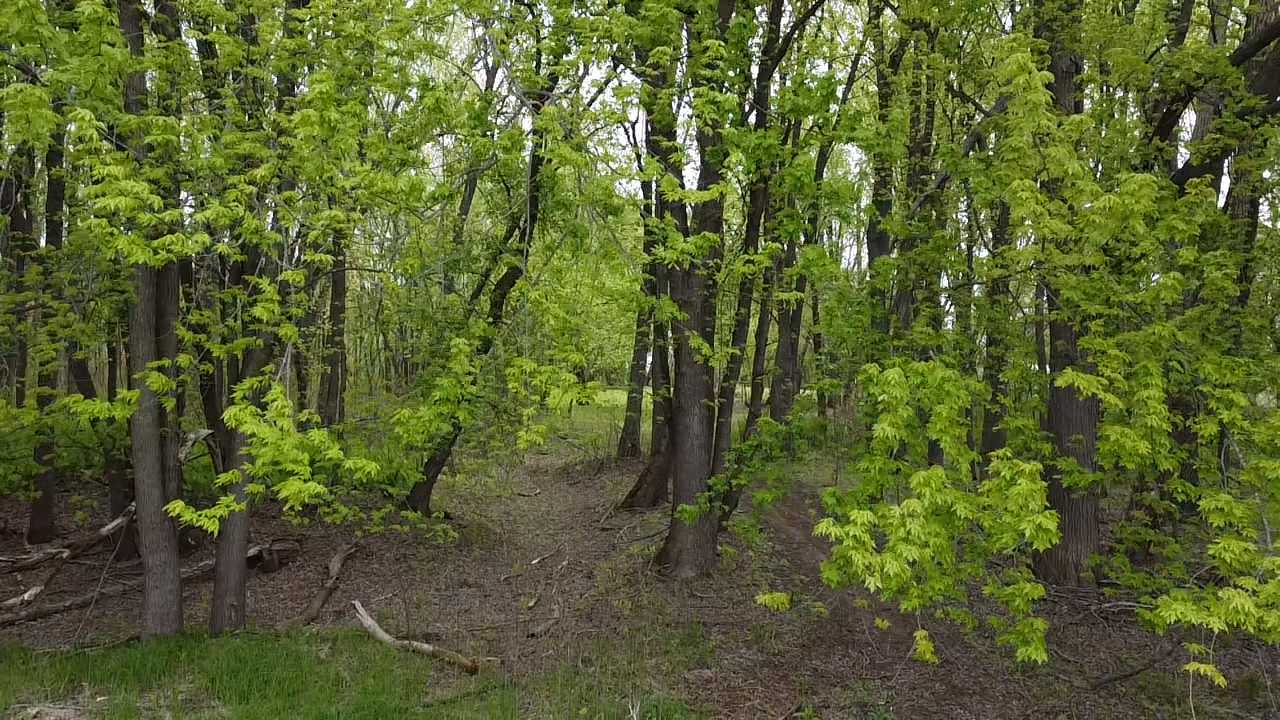 land for sale at 38477 390th Avenue in Aitkin, MN (photo 25 of 42)