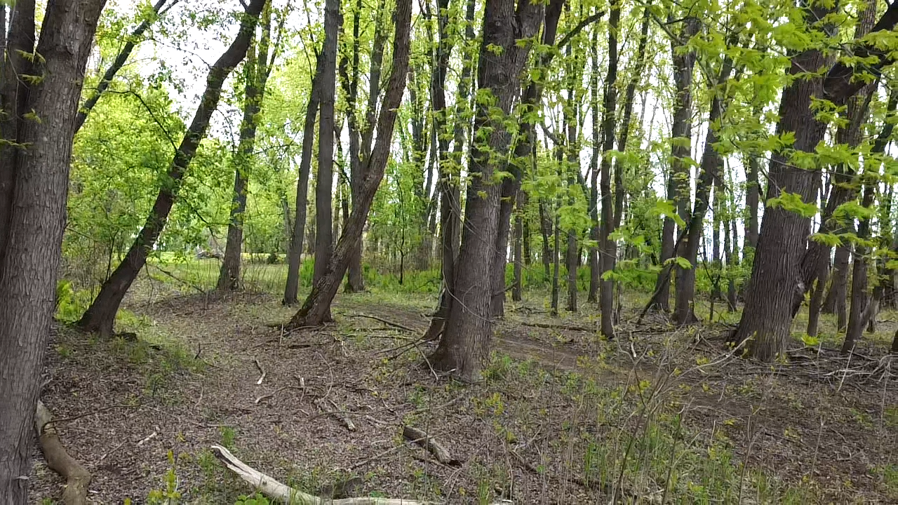 land for sale at 38477 390th Avenue in Aitkin, MN (photo 26 of 42)