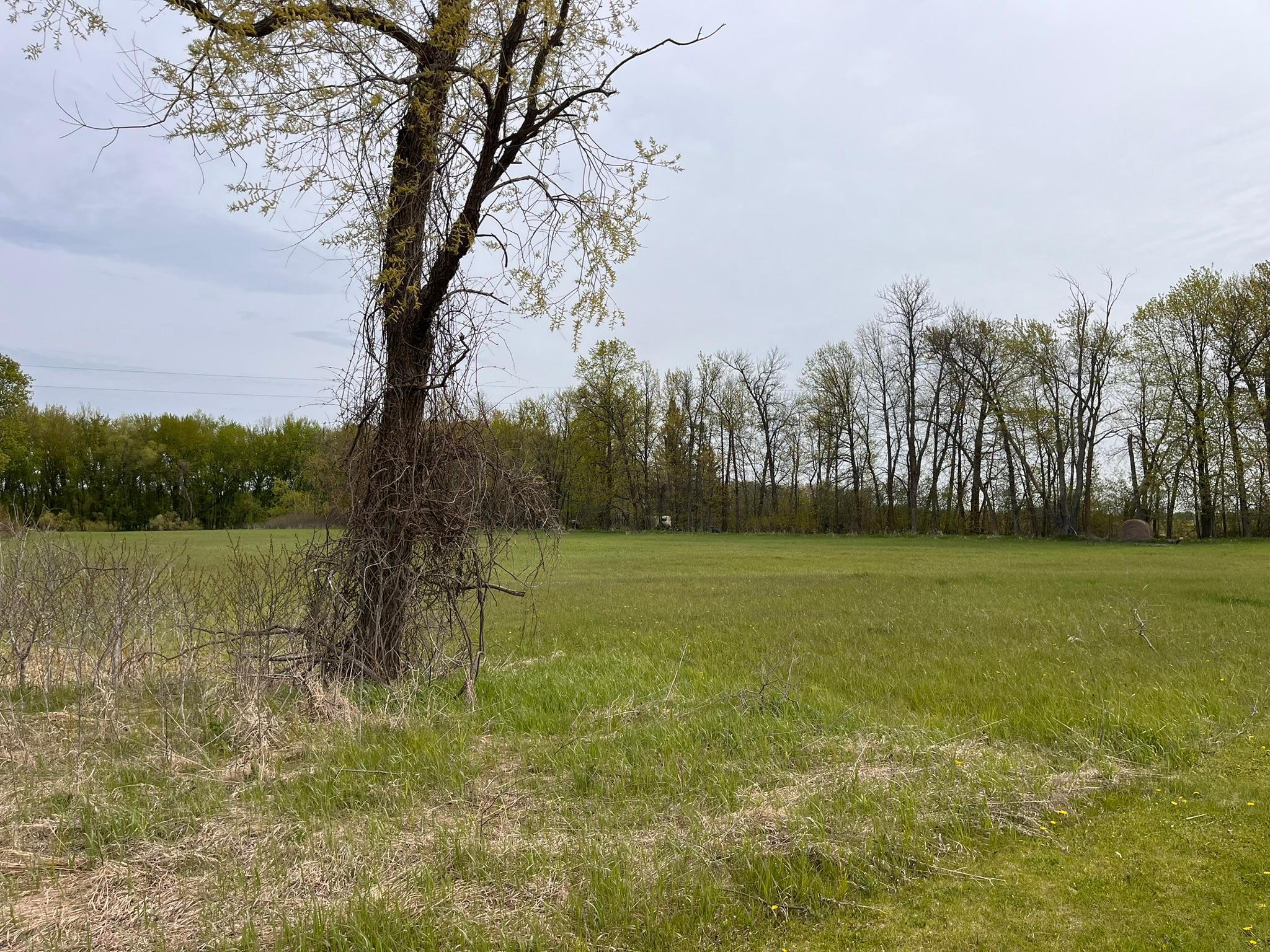 land for sale at 38477 390th Avenue in Aitkin, MN (photo 32 of 42)