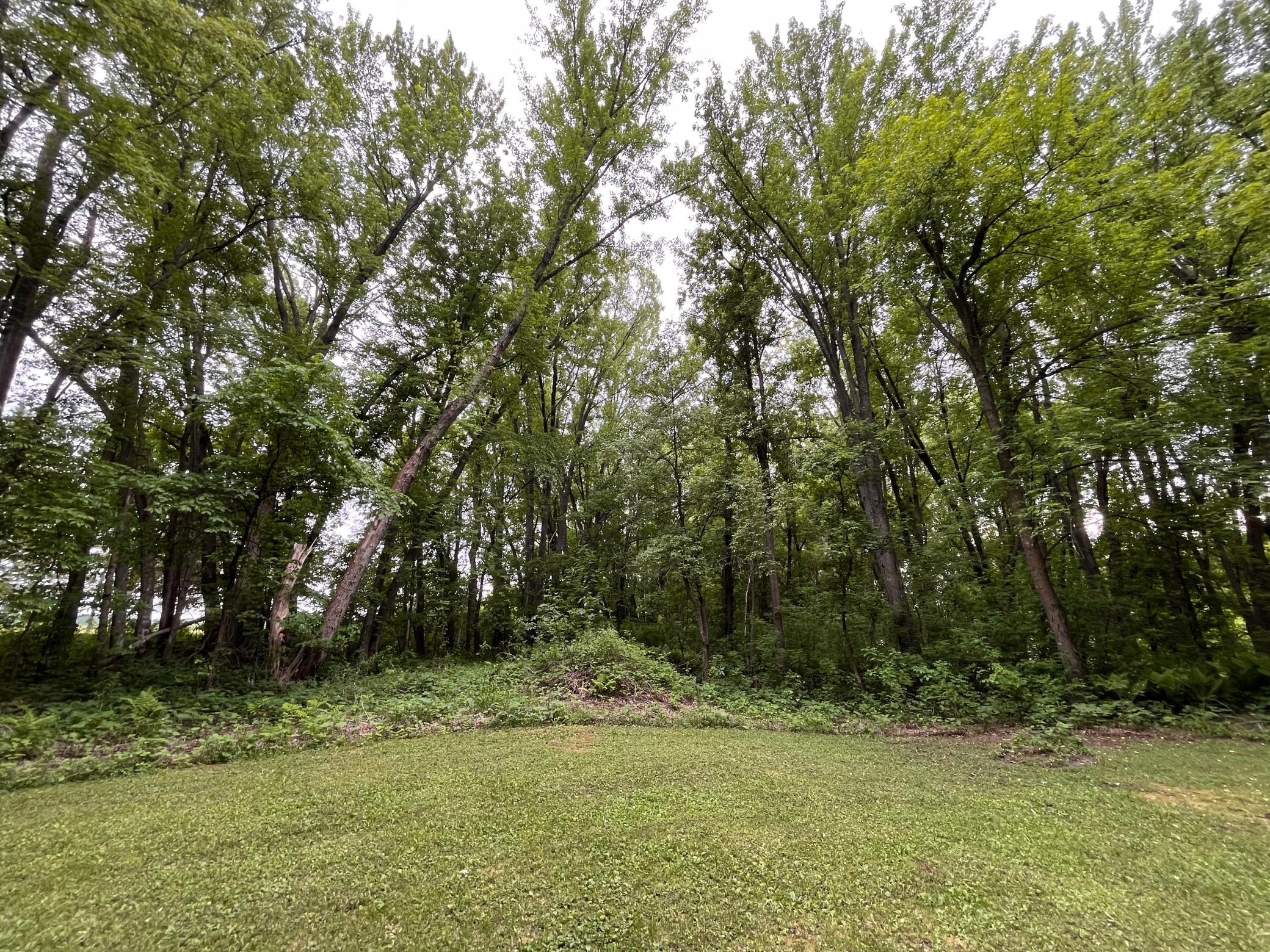 land for sale at 38477 390th Avenue in Aitkin, MN (photo 34 of 42)
