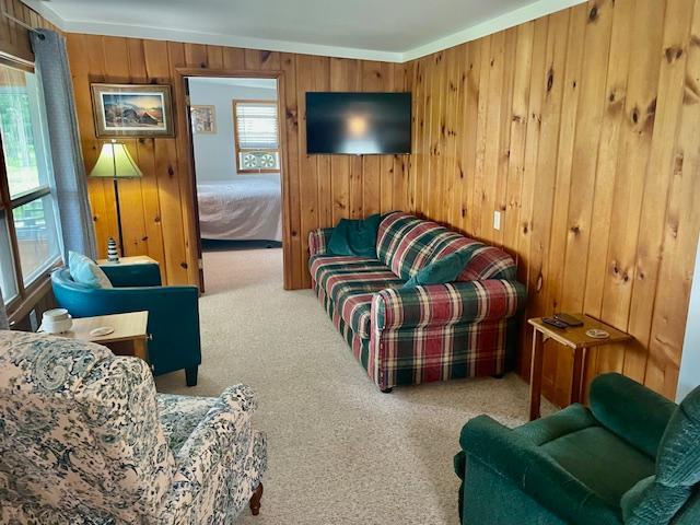 33133 Otter Tail River Road, Ottertail MN 56571 - Photo 9 of 13
