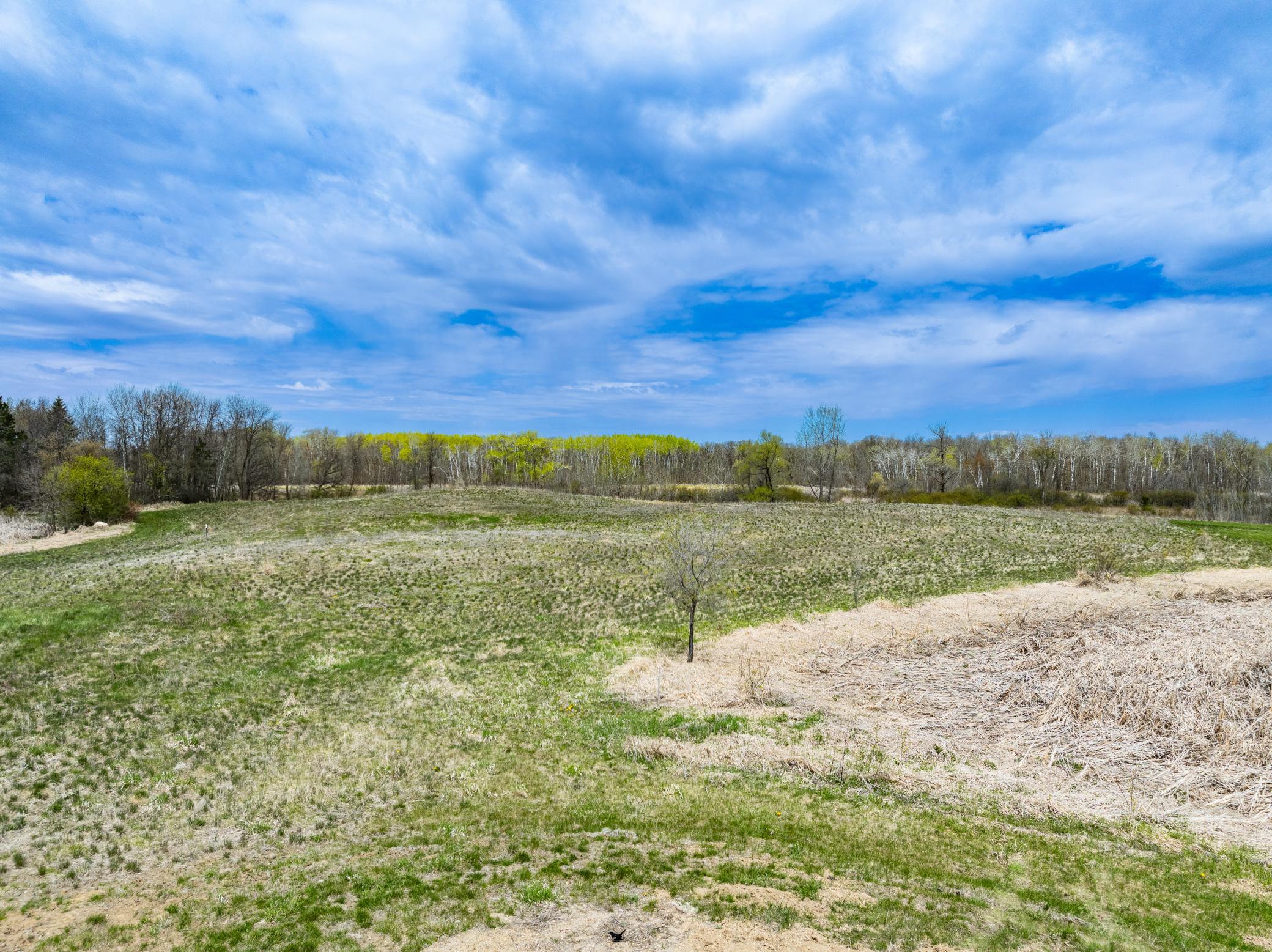 land for sale at TBD Buckskin Park Court NE in Carlos, MN (photo 3 of 7)