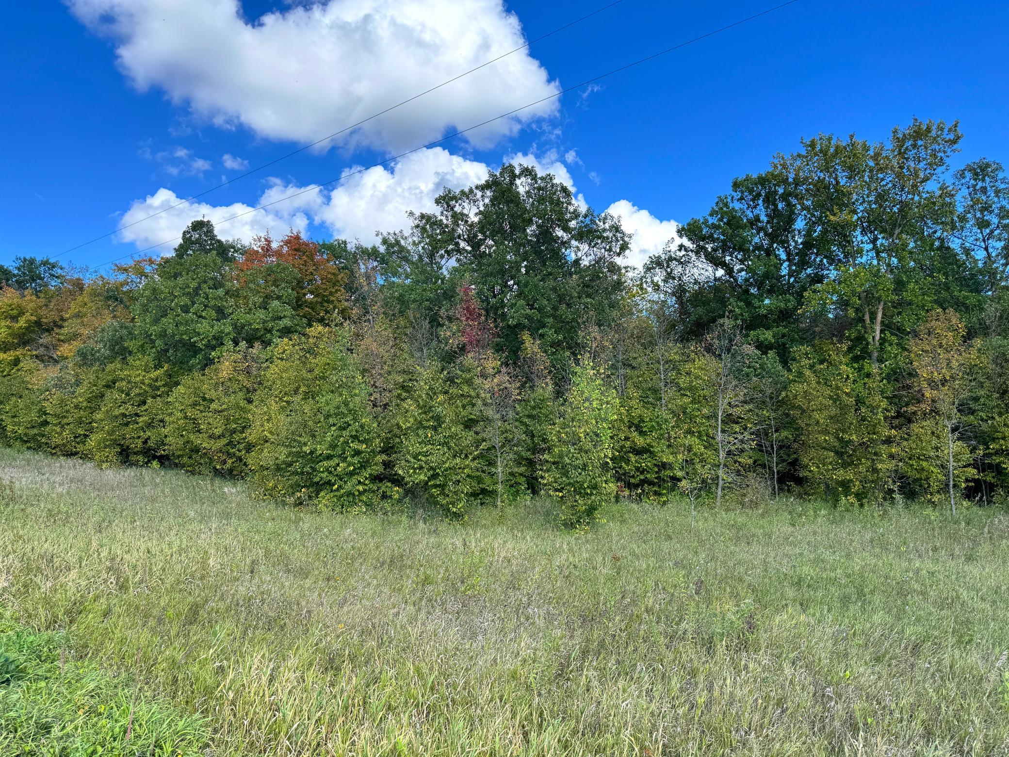 land for sale at TBD Jeff Lake Road in Richville, MN (photo 13 of 17)