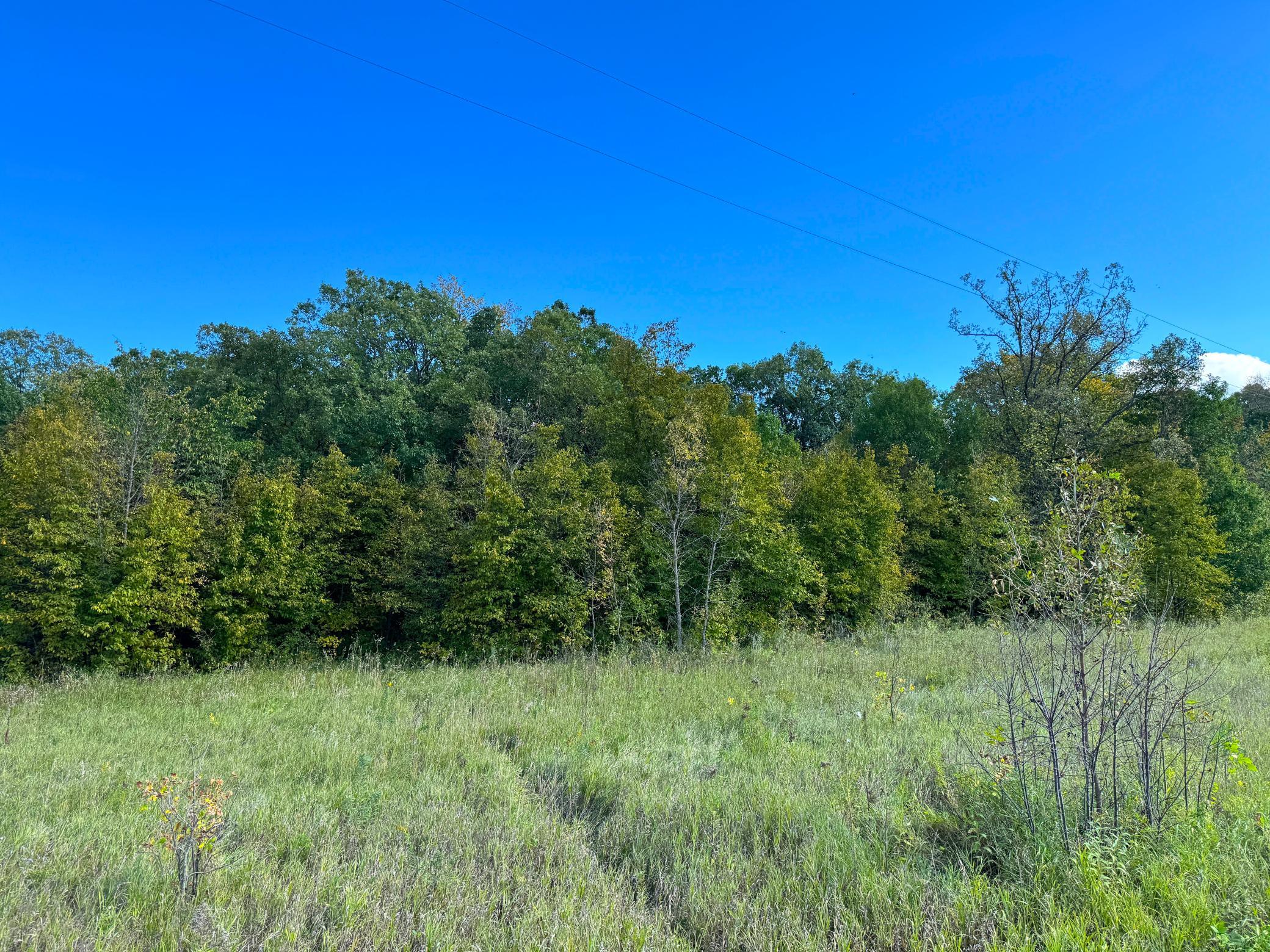 land for sale at TBD Jeff Lake Road in Richville, MN (photo 16 of 17)