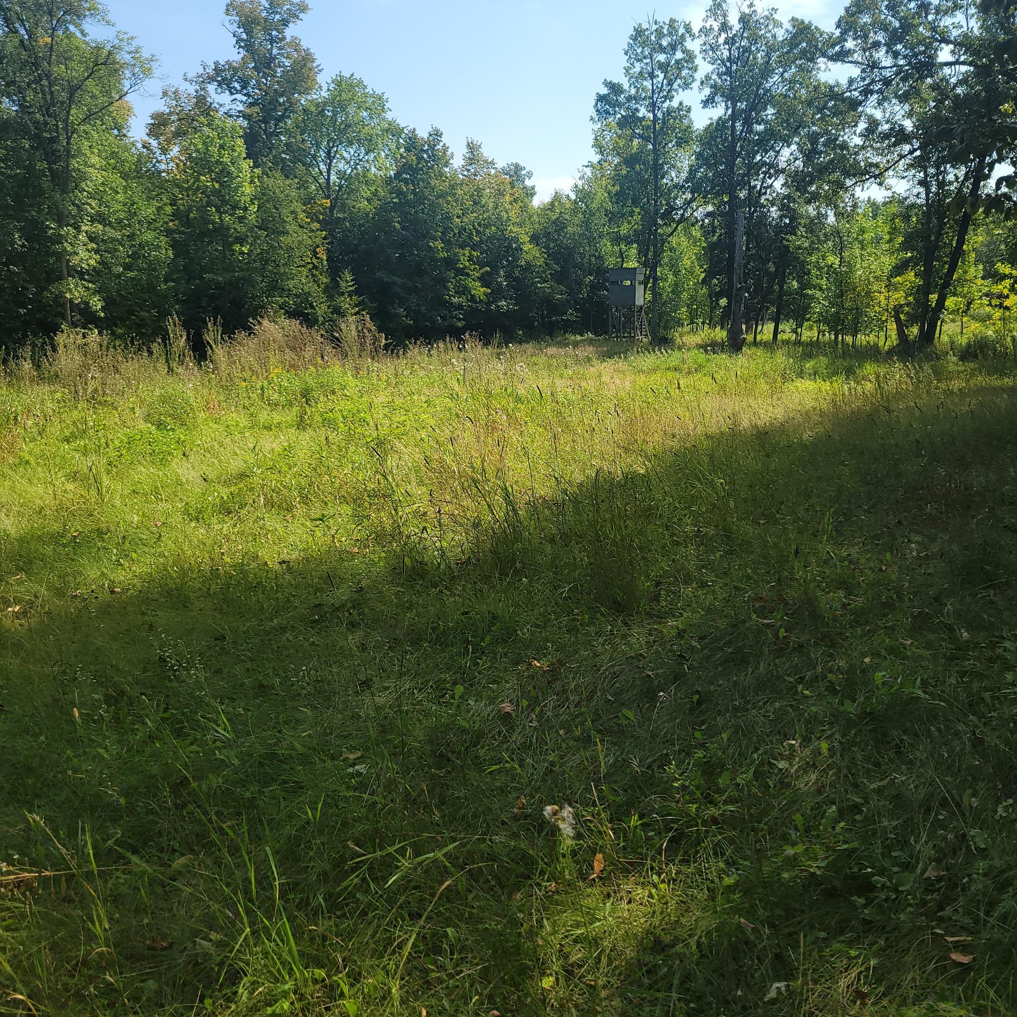 land for sale at TBD Jeff Lake Road in Richville, MN (photo 3 of 17)