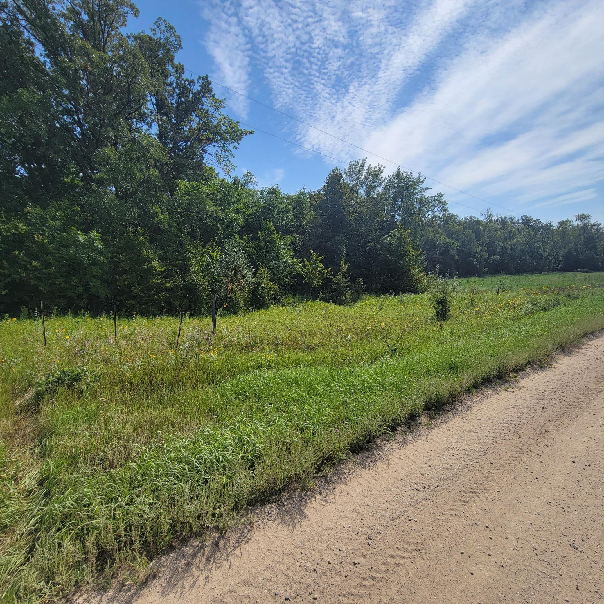 land for sale at TBD Jeff Lake Road in Richville, MN (photo 6 of 17)