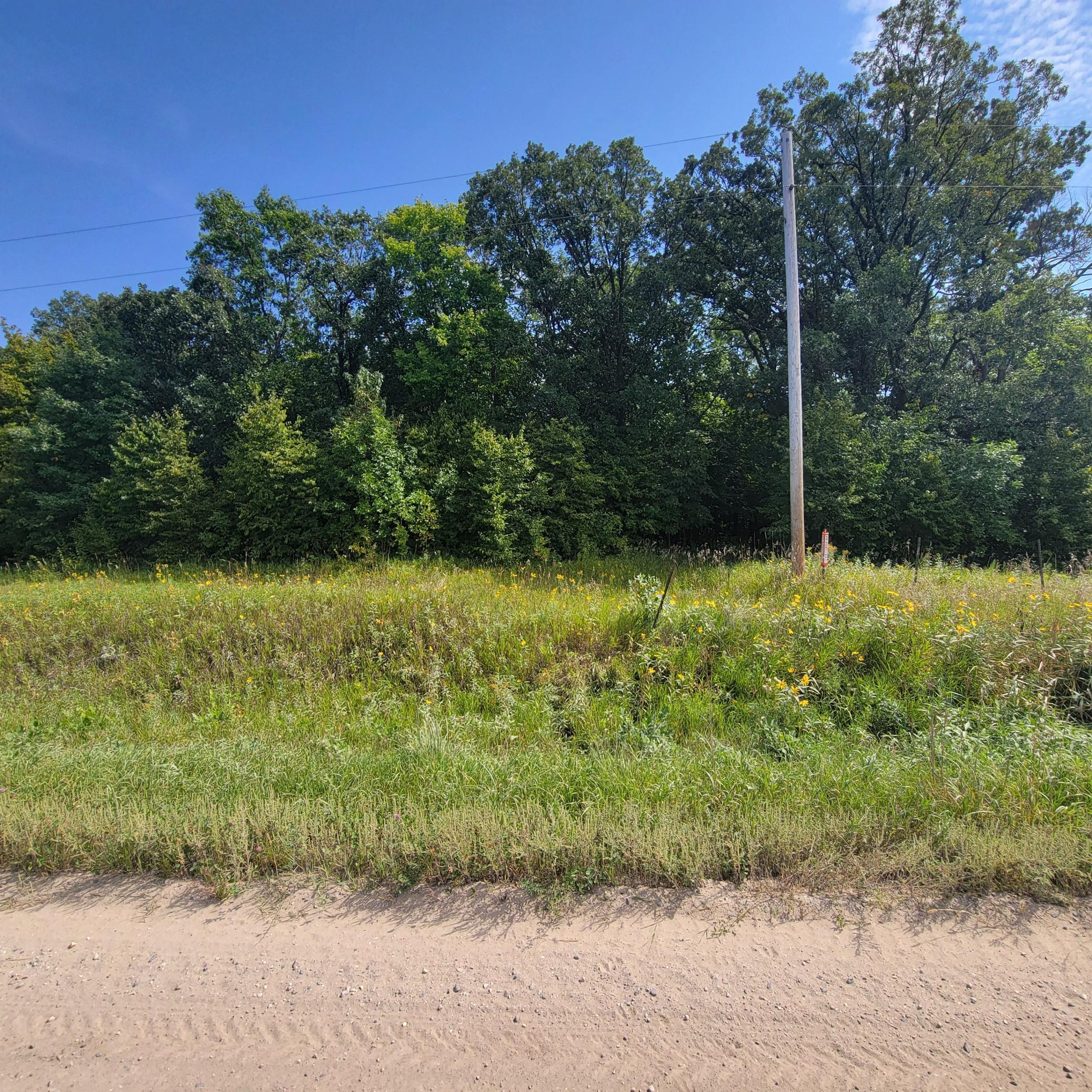 land for sale at TBD Jeff Lake Road in Richville, MN (photo 8 of 17)