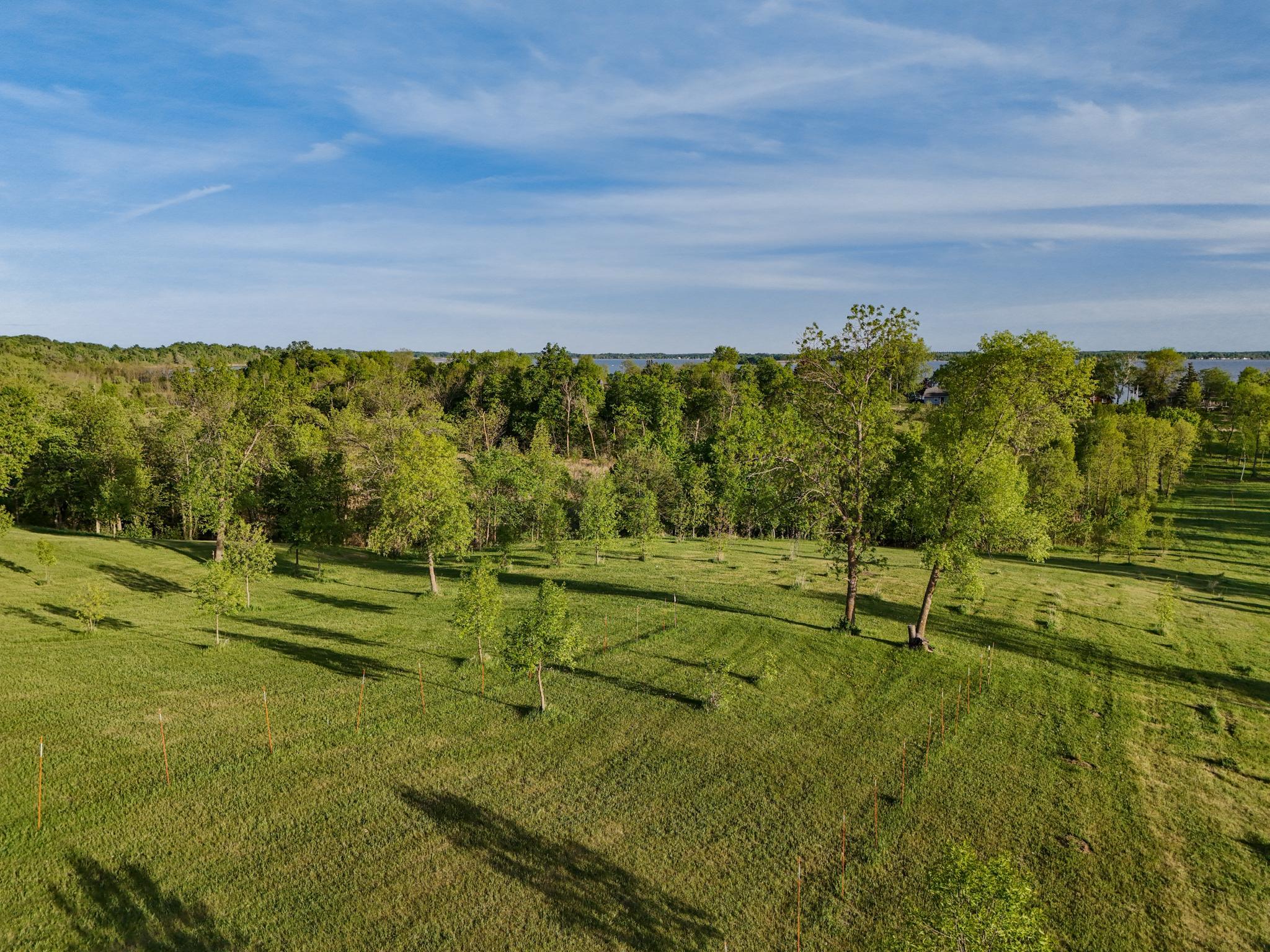 land for sale at 328XX [B] E Rosewood Trl in Dent, MN (photo 6 of 15)