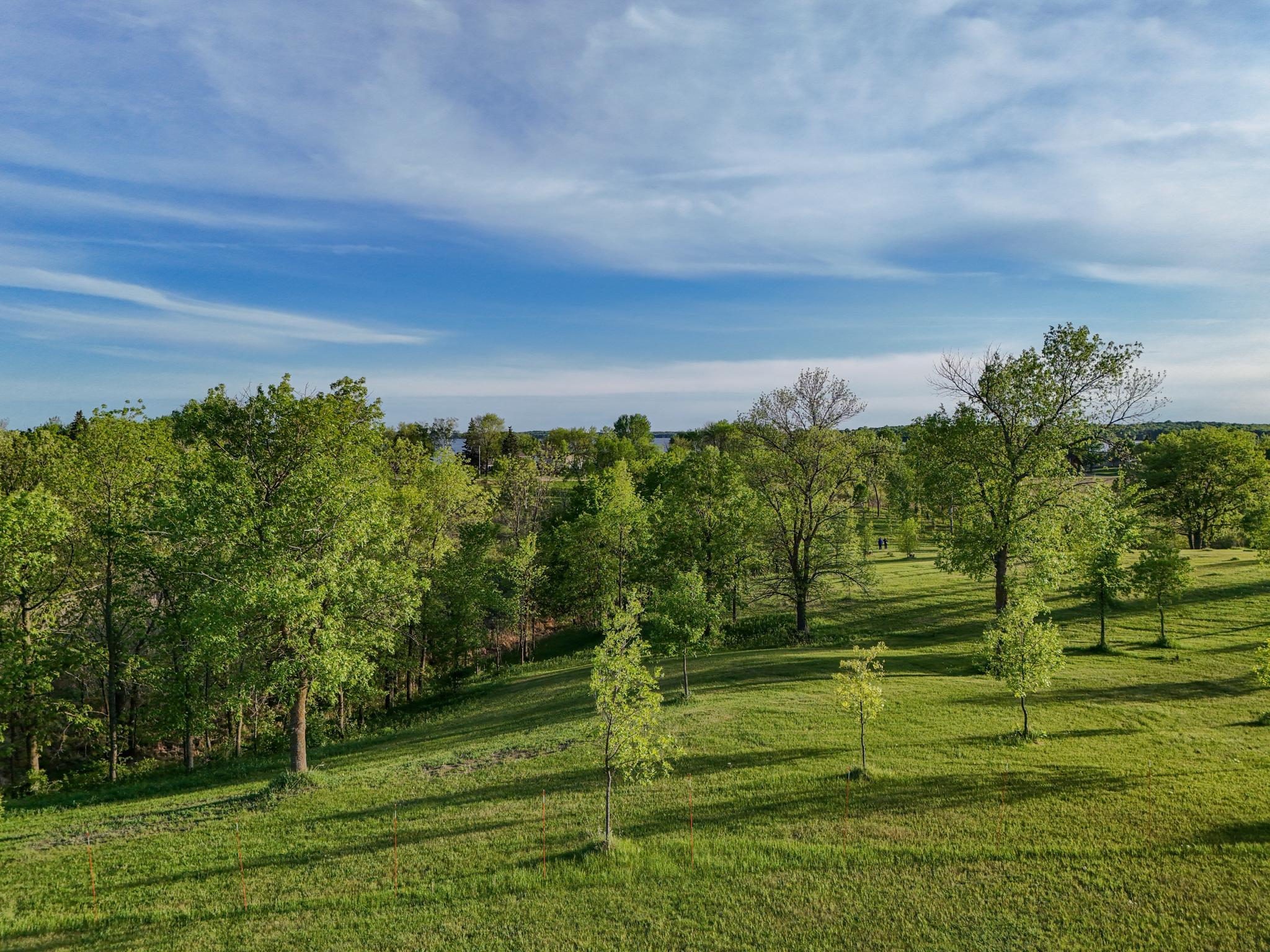 land for sale at 329XX [C] E Rosewood Trl in Dent, MN (photo 5 of 15)