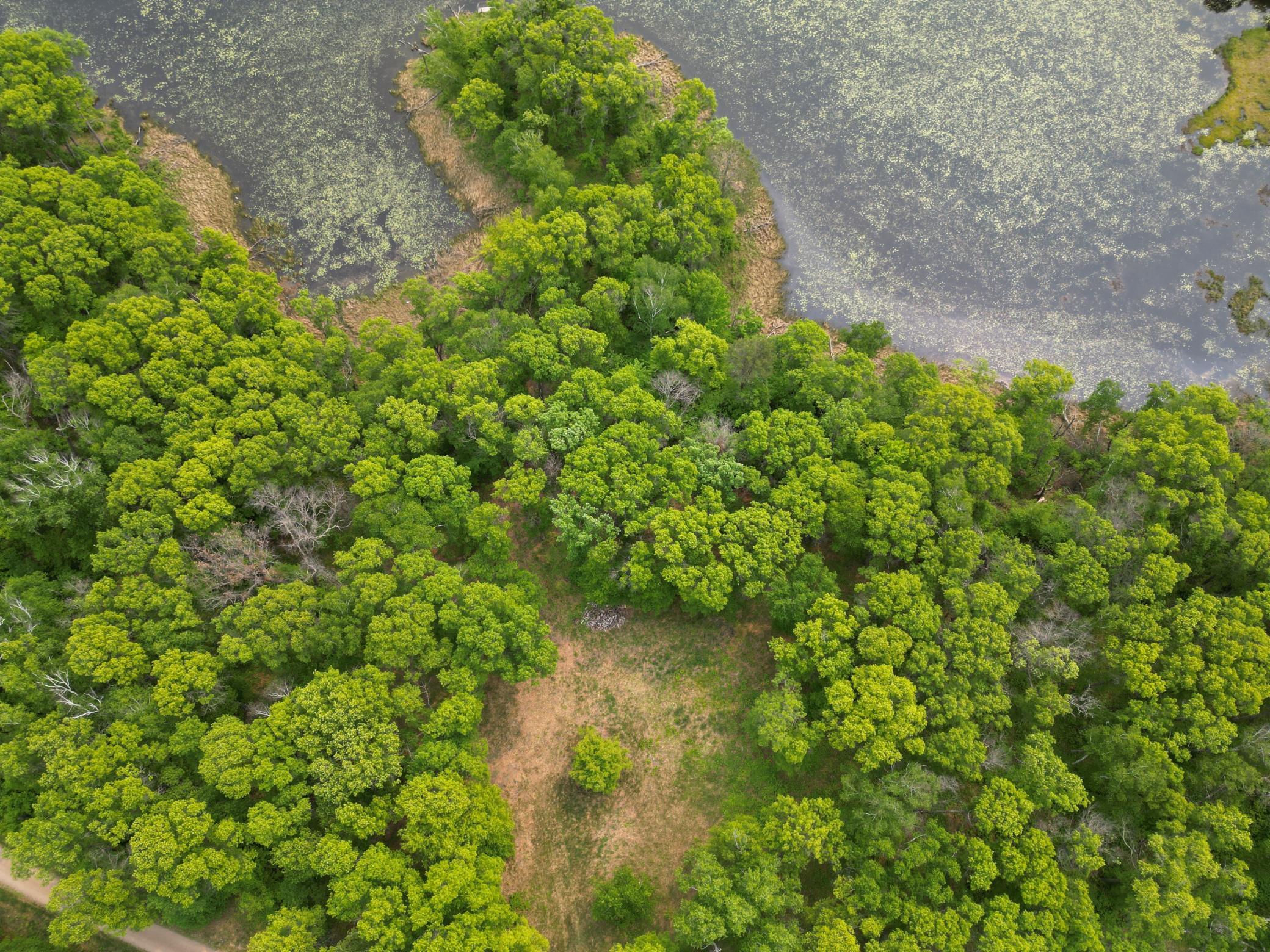 land for sale at TBD Little Bass Lake Rd in Baxter, MN (photo 2 of 27)