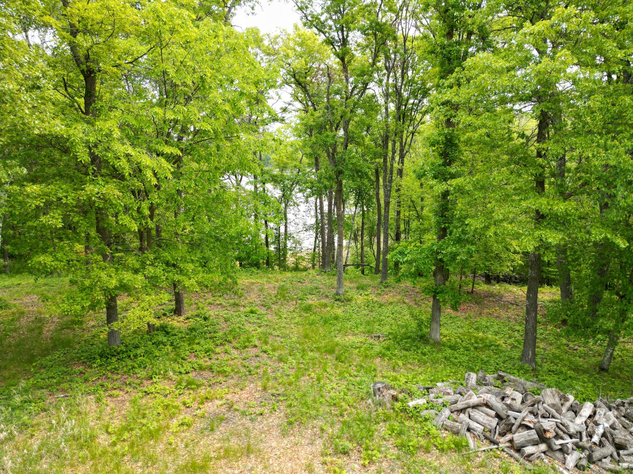 land for sale at TBD Little Bass Lake Rd in Baxter, MN (photo 11 of 27)