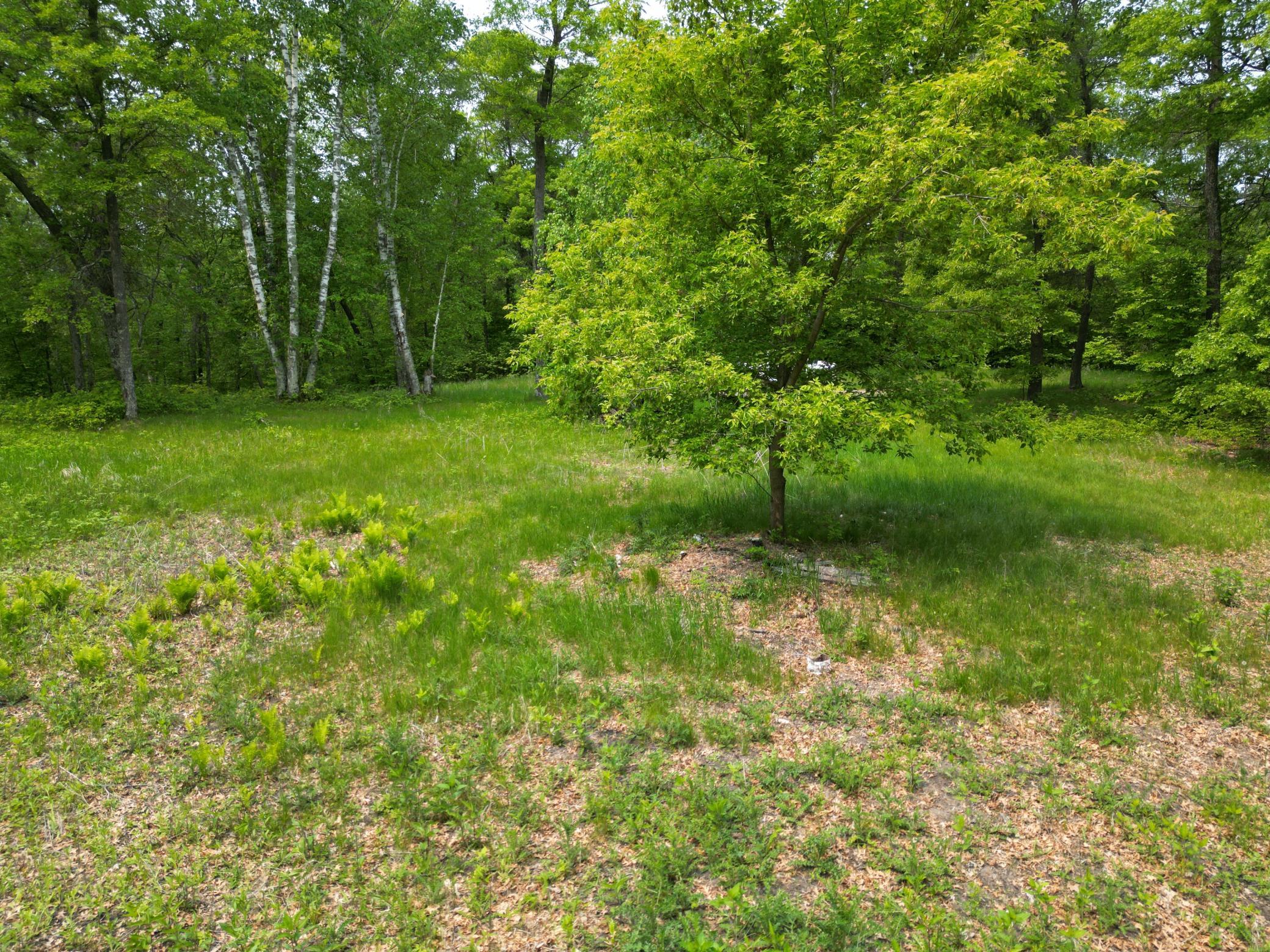 land for sale at TBD Little Bass Lake Rd in Baxter, MN (photo 12 of 27)