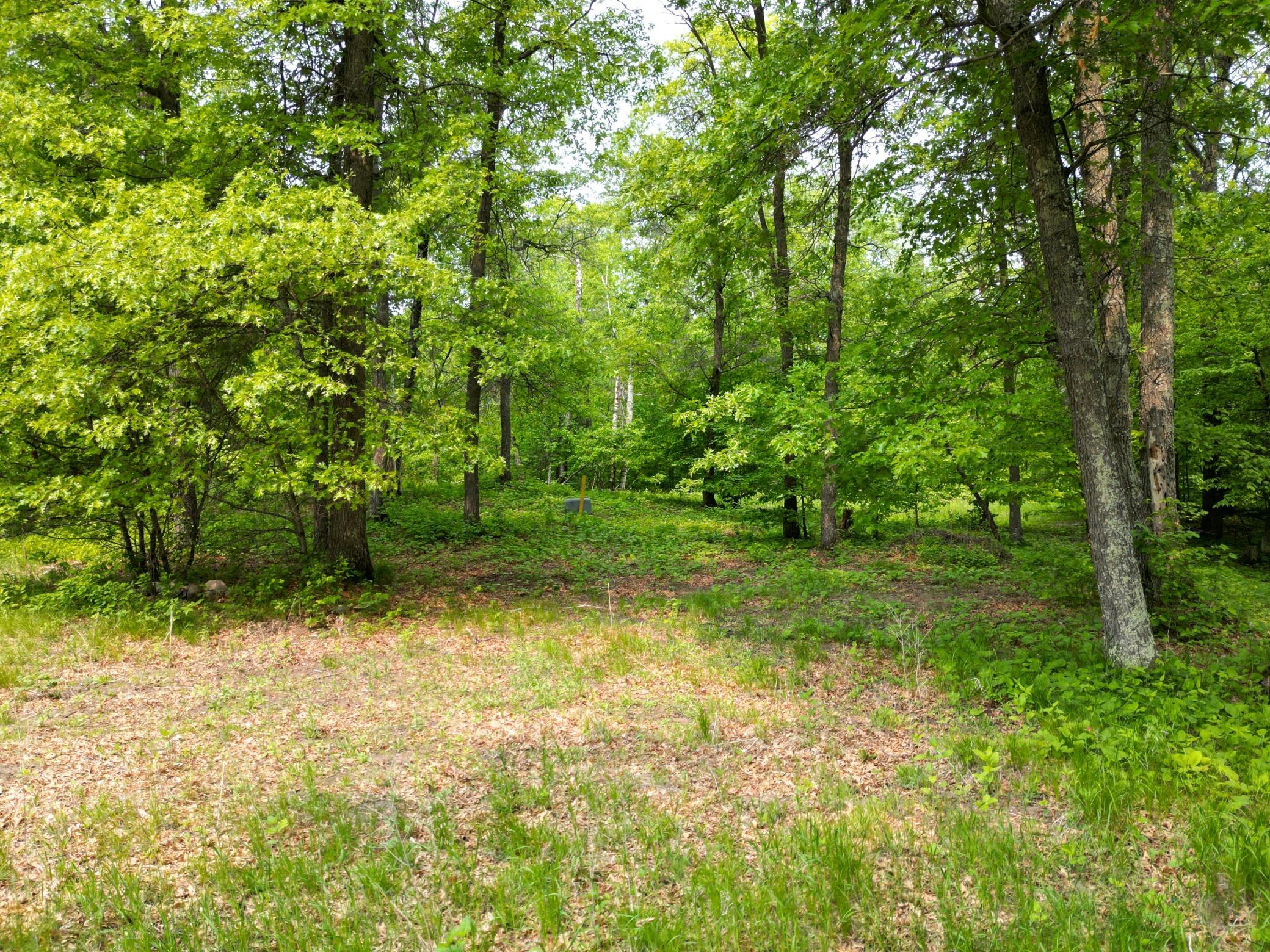 land for sale at TBD Little Bass Lake Rd in Baxter, MN (photo 13 of 27)