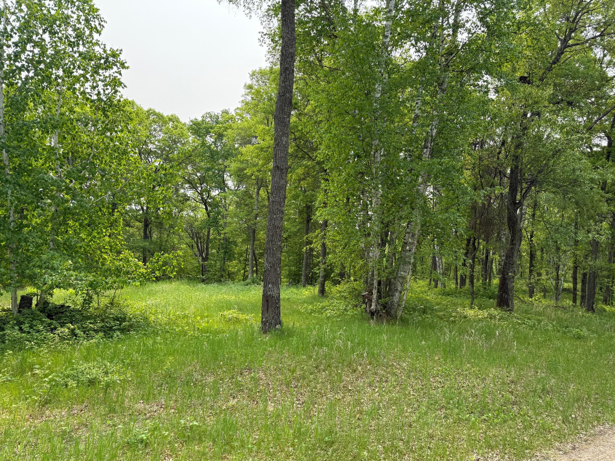 land for sale at TBD Little Bass Lake Rd in Baxter, MN (photo 14 of 27)