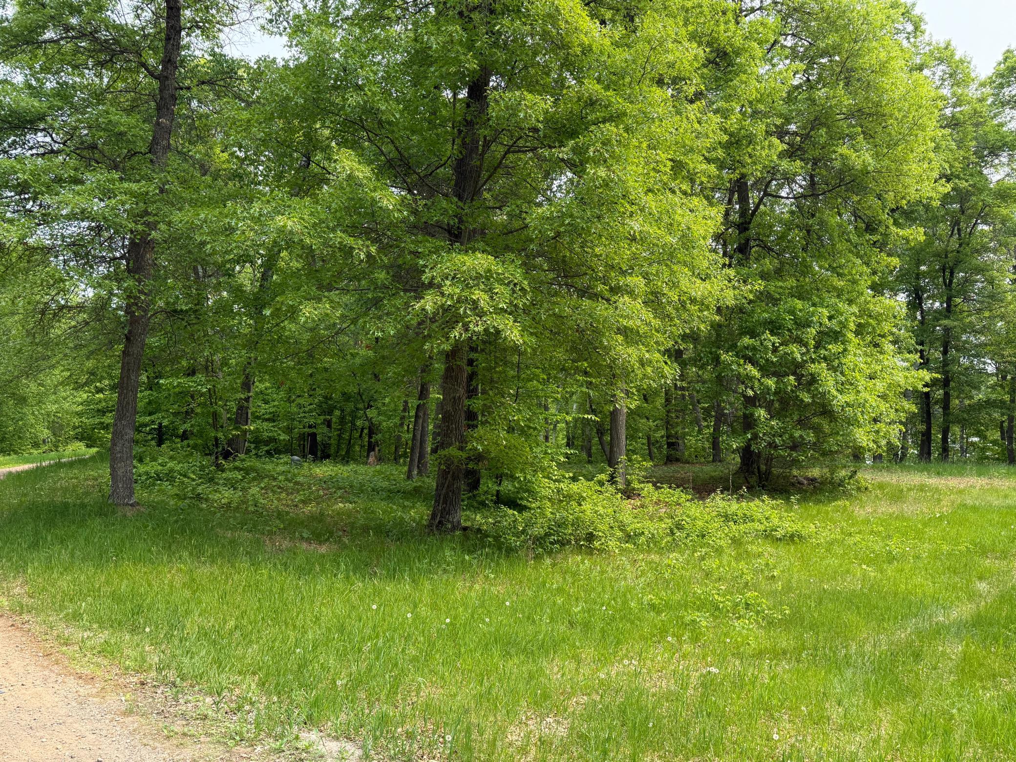 land for sale at TBD Little Bass Lake Rd in Baxter, MN (photo 15 of 27)