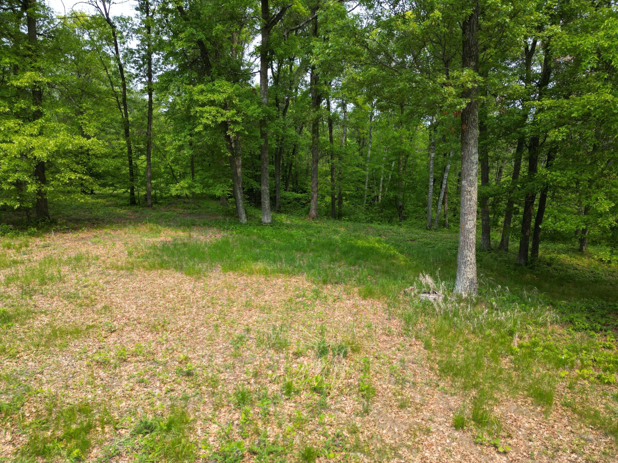 land for sale at TBD Little Bass Lake Rd in Baxter, MN (photo 16 of 27)