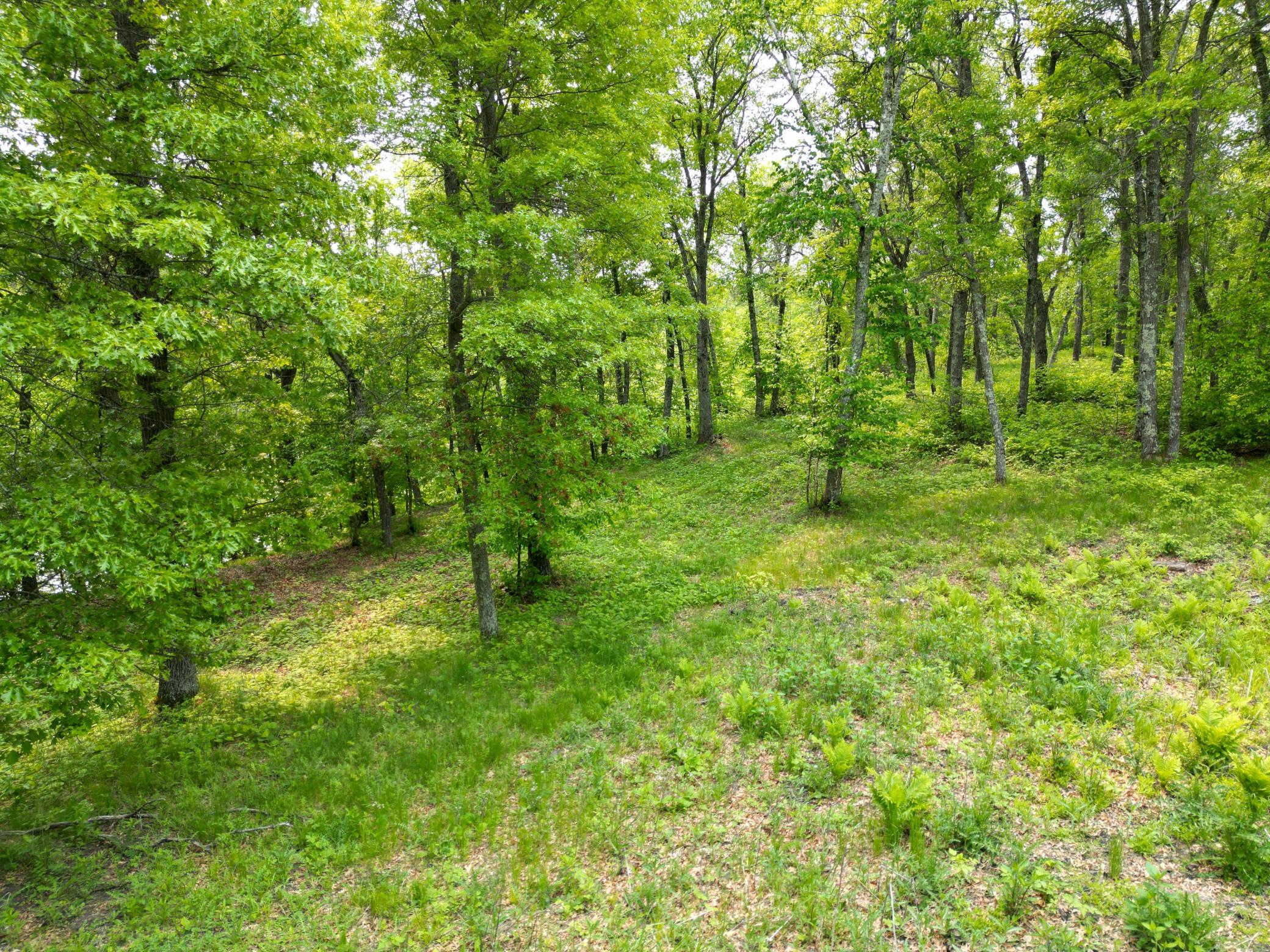 land for sale at TBD Little Bass Lake Rd in Baxter, MN (photo 17 of 27)