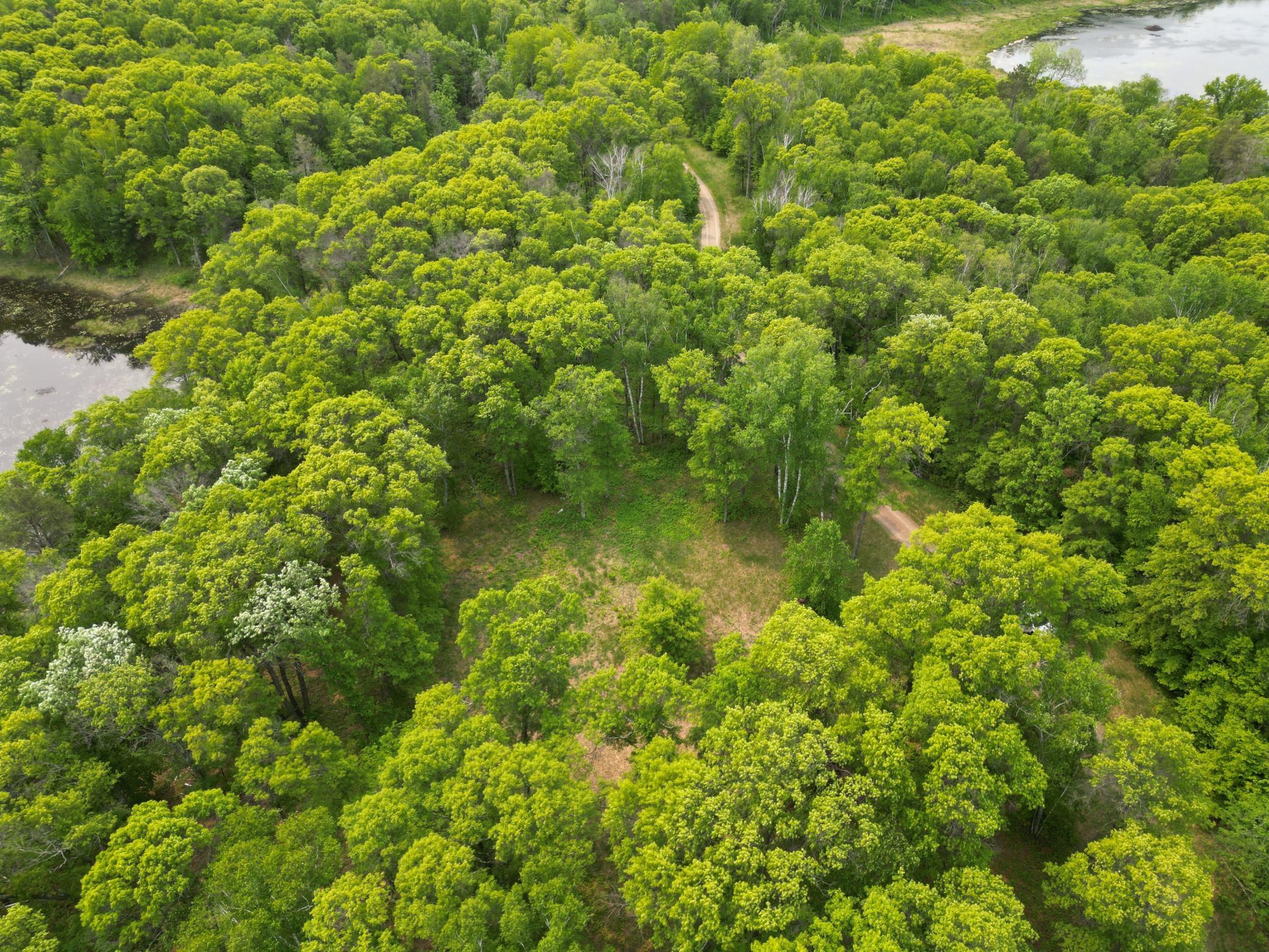 land for sale at TBD Little Bass Lake Rd in Baxter, MN (photo 19 of 27)