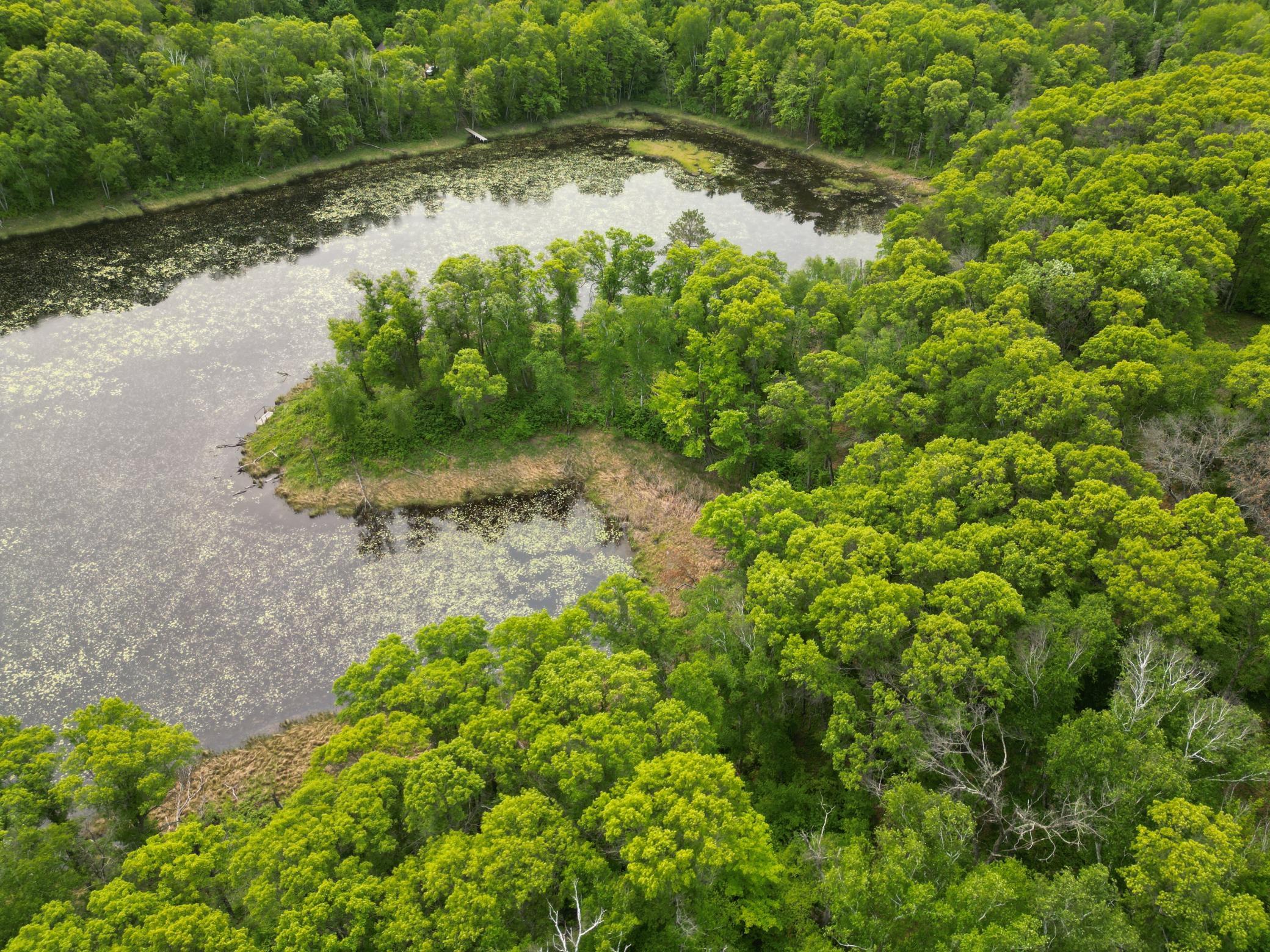 land for sale at TBD Little Bass Lake Rd in Baxter, MN (photo 20 of 27)
