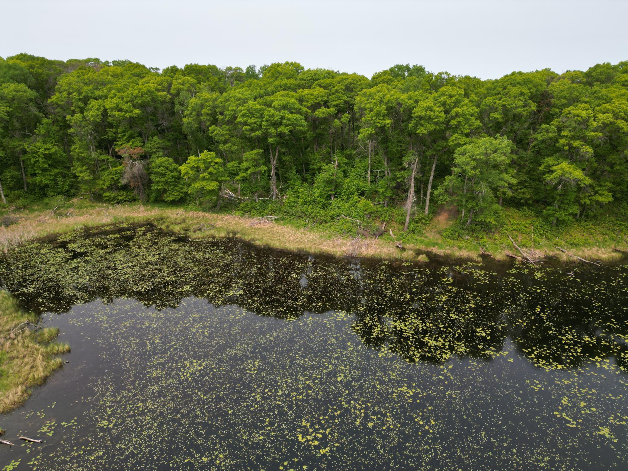 land for sale at TBD Little Bass Lake Rd in Baxter, MN (photo 21 of 27)