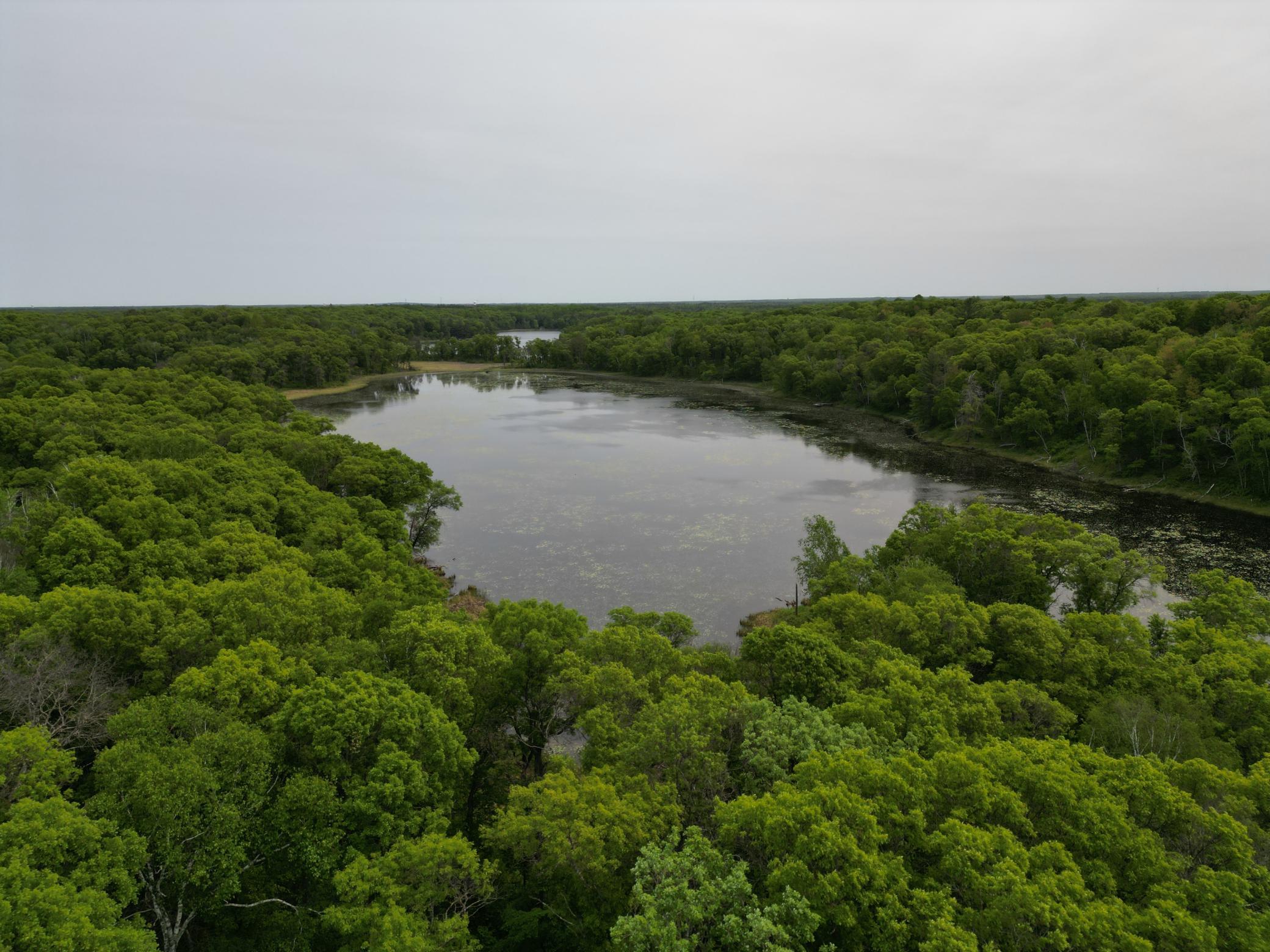 land for sale at TBD Little Bass Lake Rd in Baxter, MN (photo 23 of 27)