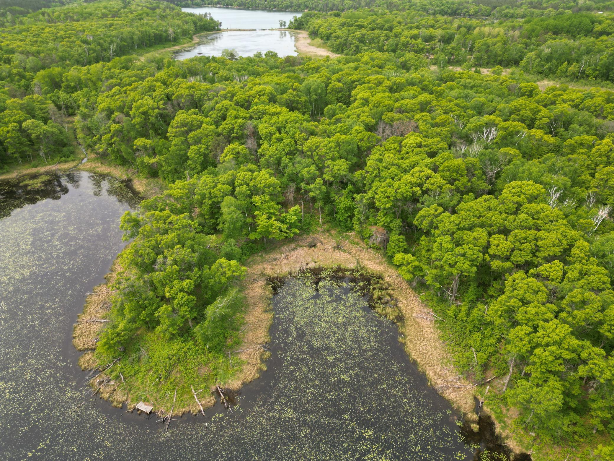 land for sale at TBD Little Bass Lake Rd in Baxter, MN (photo 24 of 27)