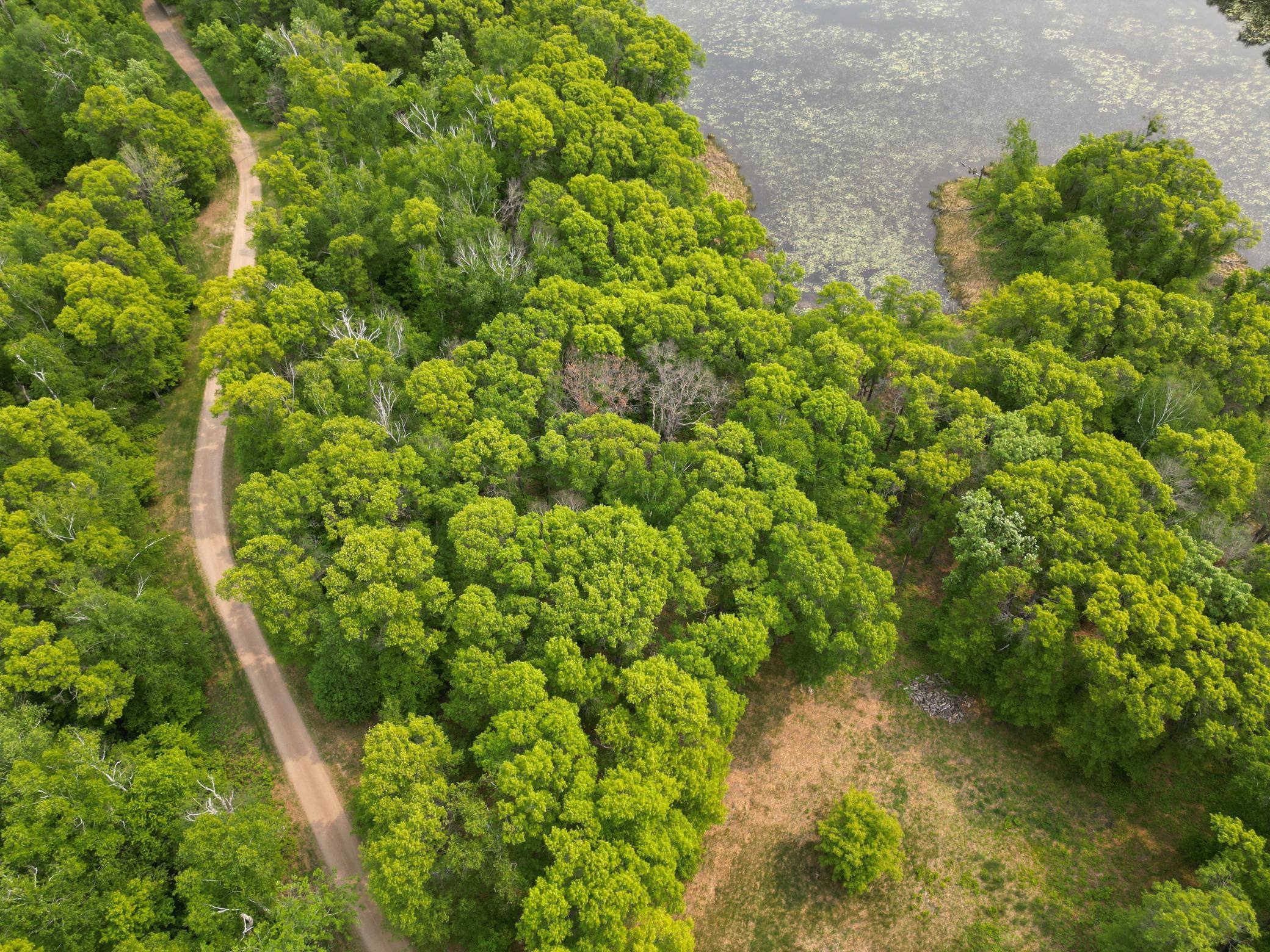 land for sale at TBD Little Bass Lake Rd in Baxter, MN (photo 25 of 27)
