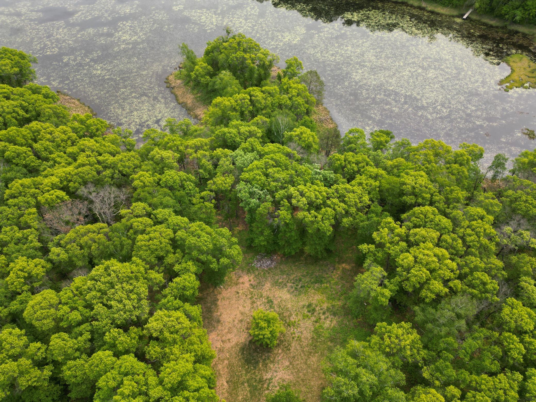 land for sale at TBD Little Bass Lake Rd in Baxter, MN (photo 26 of 27)