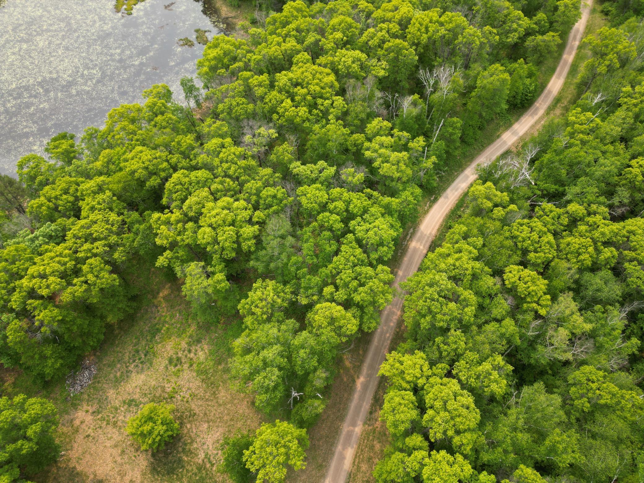 land for sale at TBD Little Bass Lake Rd in Baxter, MN (photo 27 of 27)