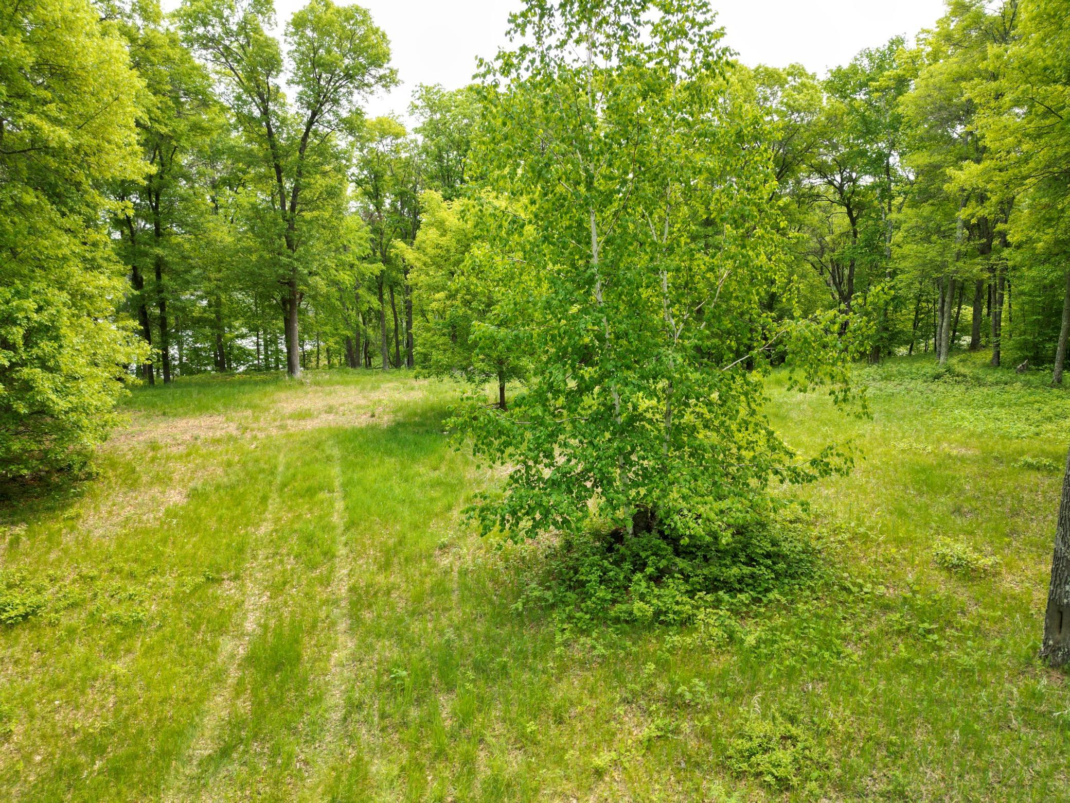 land for sale at TBD Little Bass Lake Rd in Baxter, MN (photo 9 of 27)