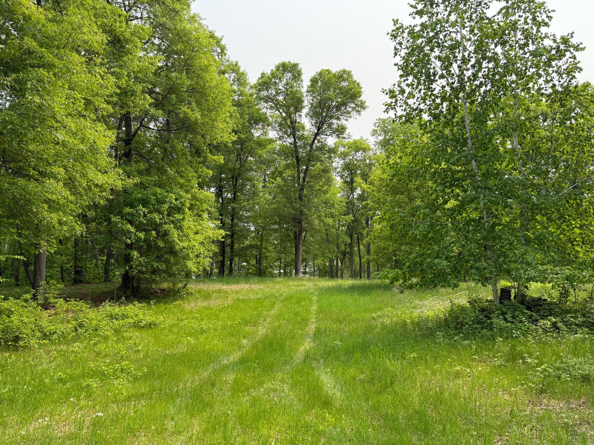 land for sale at TBD Little Bass Lake Rd in Baxter, MN (photo 10 of 27)