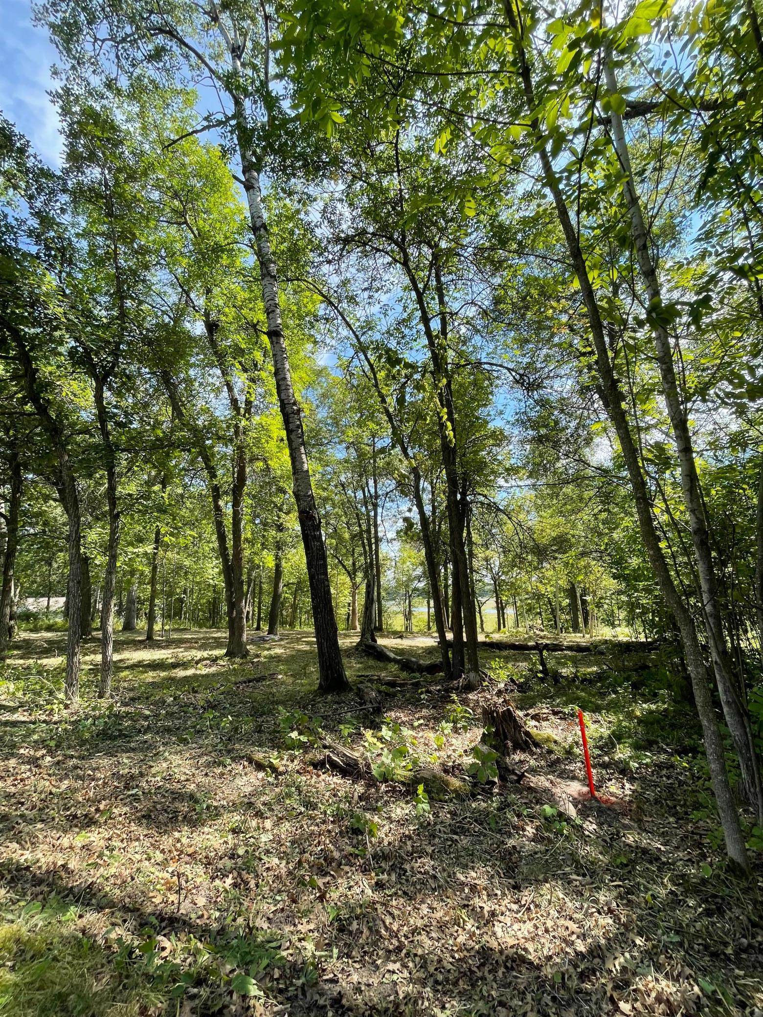 TBD Wedgewood Road NW, Walker MN 56484 - Photo 2 of 13