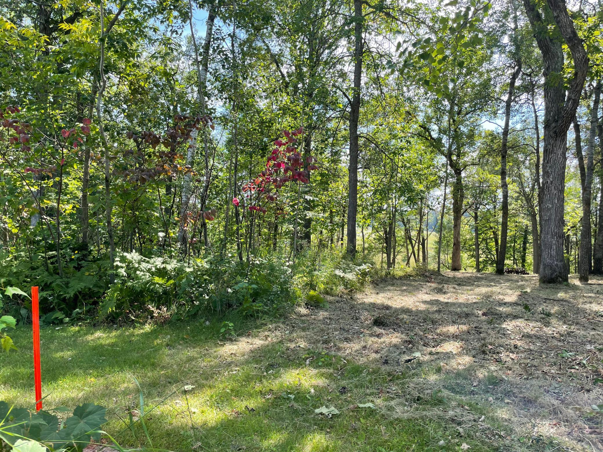 TBD Wedgewood Road NW, Walker MN 56484 - Photo 4 of 13